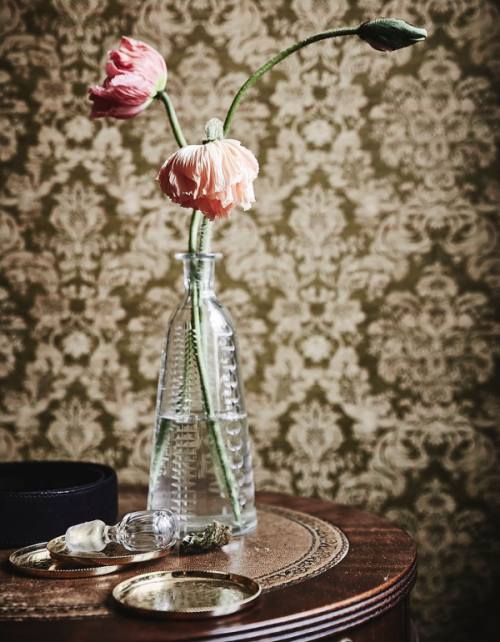 Decorate your house with cut flowers Decorate your house with cut flowers