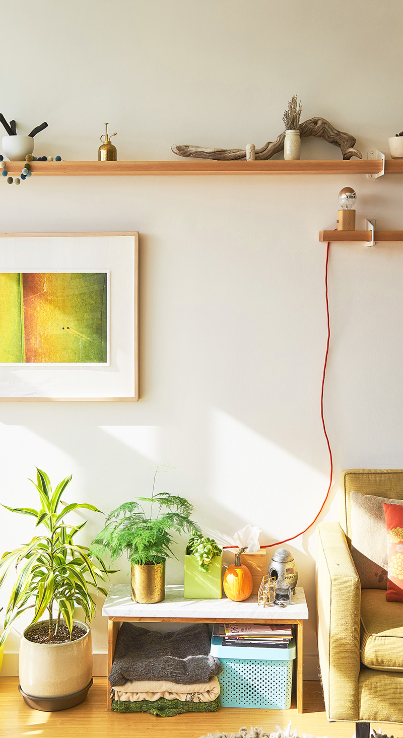 shelf in a living room